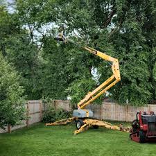 Best Sod Installation  in Willowbrook, CA